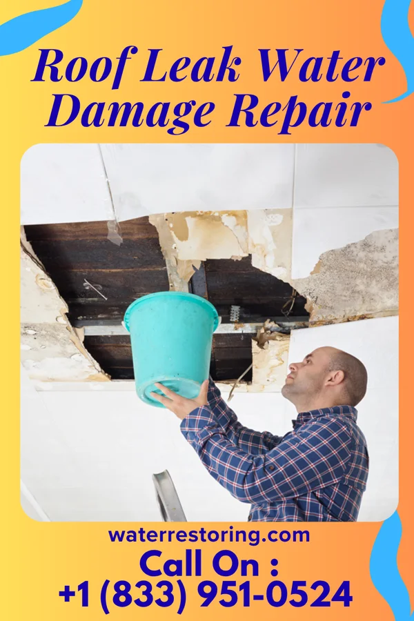 Roof Leak Water Damage Repair in Woodbine, KS