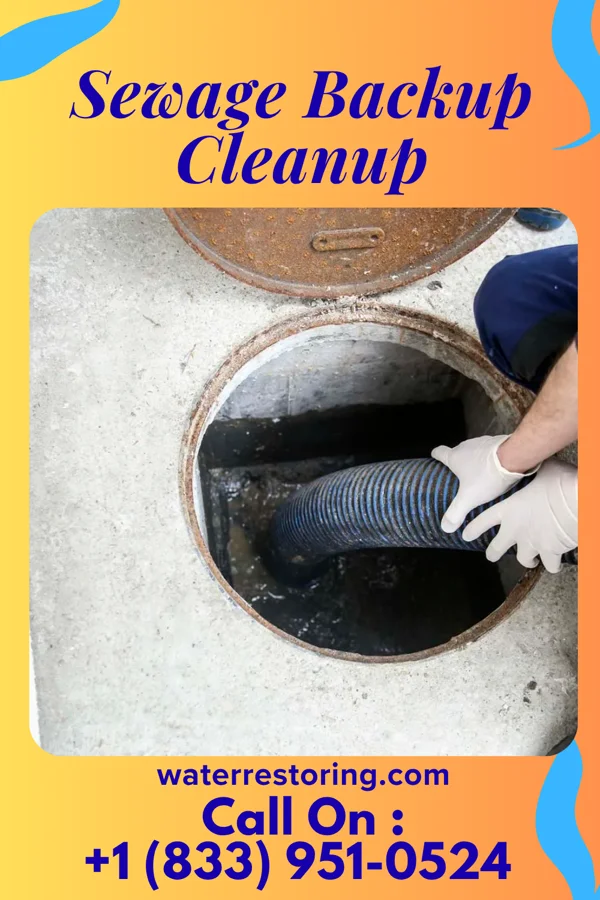 Sewage Backup Cleanup in Woodbine, KS