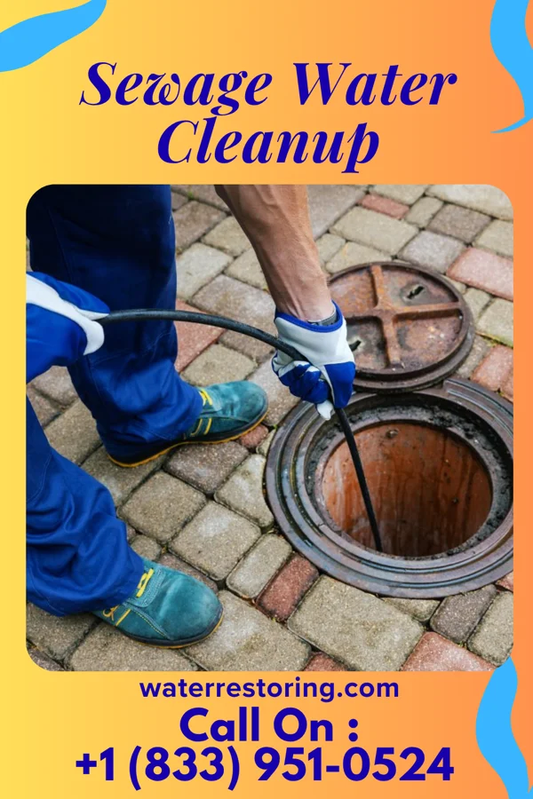 Sewage Water Cleanup in Woodbine, KS